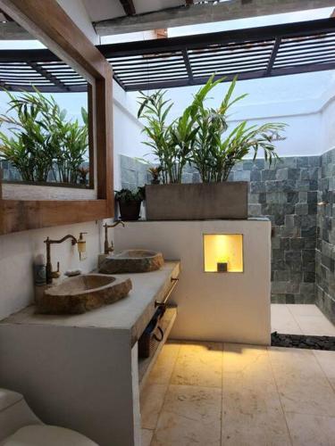 Baño con 2 lavabos y plantas en la pared en Hermosa casa en Cauca Viejo, en Jericó