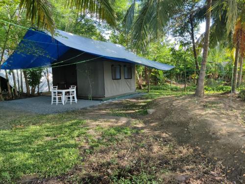 ein kleines Haus mit einem blauen Zelt im Hof in der Unterkunft Harmony Haven Eco Camp, Udawalawa in Udawalawe