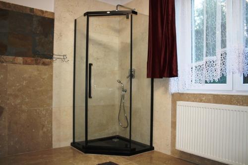 W łazience znajduje się prysznic ze szklanymi drzwiami. w obiekcie Dom w Bieszczadach 10 osobowy w Wołkowyi