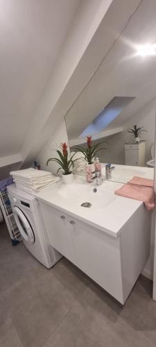 Baño blanco con lavabo en el ático en Appartement pré de Paris, en Gagny