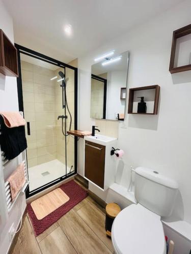 une salle de bain blanche avec douche et toilettes dans l'établissement Le cocon Fécamp, à Fécamp