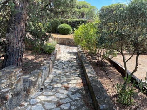 a garden with a tree and a stone path at Villa in Vidauban with Pool and BBQ in Vidauban