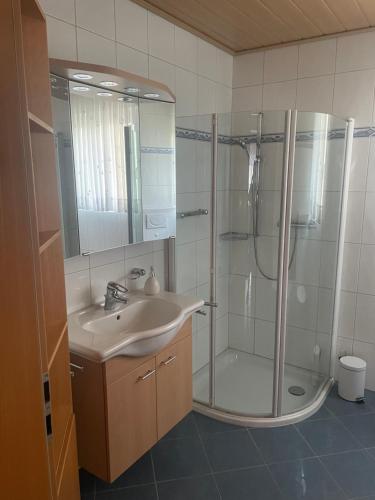 a bathroom with a sink and a shower at Ferienhaus Möhnetal in Allagen