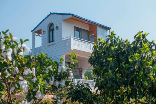 a house with a tree in front of it at Điểm du lịch canh nông Avocado Farm in Lac Nghĩa