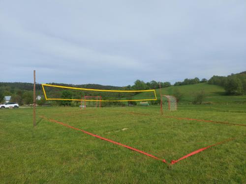 a soccer field with a net in the grass at Domki pod Bukowym lasem in Wańkowa