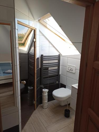 a bathroom with a toilet and a skylight at Górskie Marzenie - Apartament i Domek z sauną blisko Zatora i Energylandii in Przeciszów