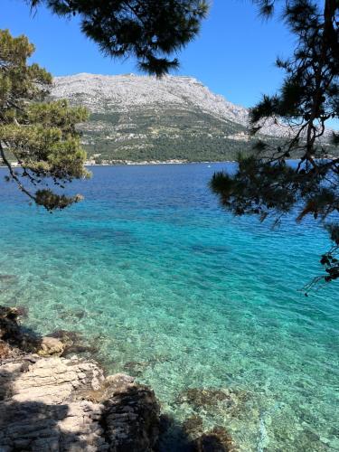 Φυσικό τοπίο κοντά σε αυτό το διαμέρισμα