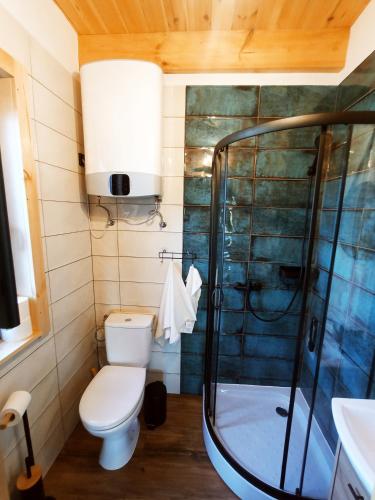 a bathroom with a toilet and a shower at Domek Tomaszne in Uścimów