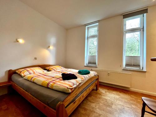 - une chambre avec un lit et 2 fenêtres dans l'établissement JS Feriendomizile: FeWo Charlotte, à Schierke