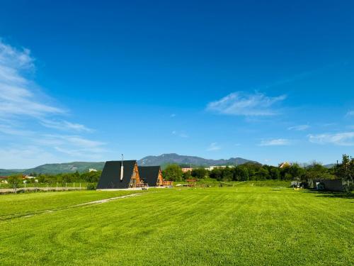 a large green field with a building in the background at Cabana JagerBerg Rosenau in Râşnov