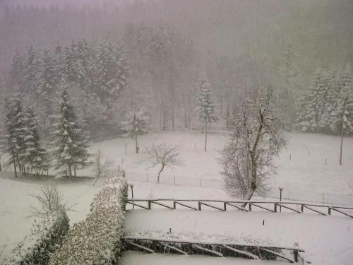 a snow covered field with trees and a fence at IL CANICCIO Borgo Isora in Pistoia