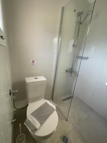 a bathroom with a toilet and a shower at Banos Apartments and swimming pool in Roda