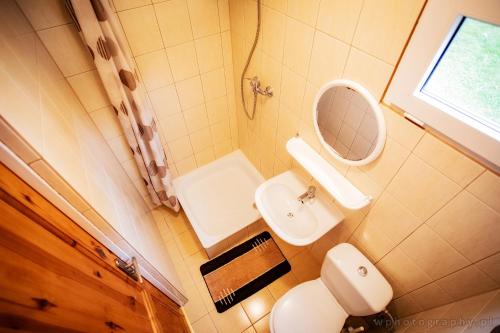 a bathroom with a toilet and a sink and a mirror at Agroturystyka Spokojna domek 5 osobowy in Pogorzelica