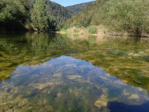 a river with a reflection of trees in the water at aschis Lodge 2 in Soubey