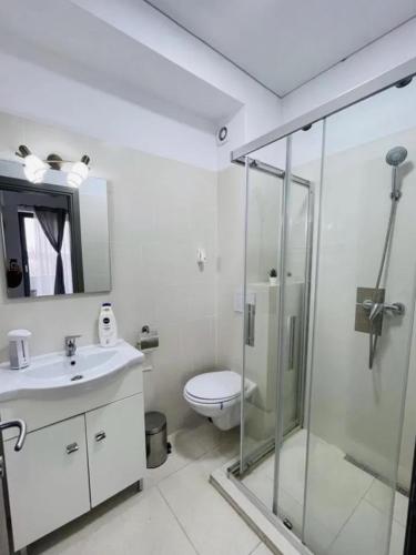 a bathroom with a shower and a toilet and a sink at Garsonieră in Mamaia Nord