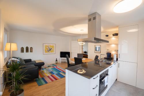 Il comprend une cuisine et un salon avec un comptoir. dans l'établissement Jungstay Apartments- near Basel, à Bâle