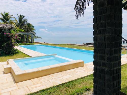 - une piscine à côté d'un palmier dans l'établissement blue fenix, à Mahavelo