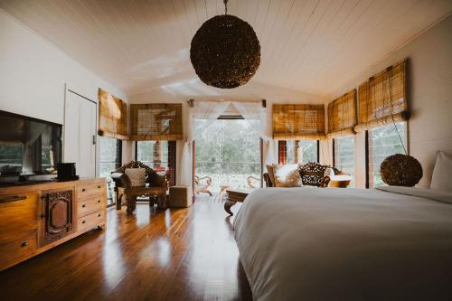ein Schlafzimmer mit einem Bett und einem TV in einem Zimmer in der Unterkunft The Boathouses at Leaves & Fishes in Lovedale