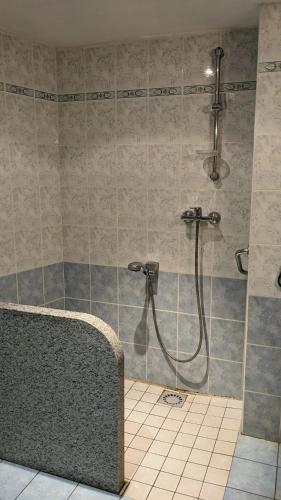 une salle de bain avec une douche avec pommeau de douche dans l'établissement Maison de vacances en campagne, à Cambounès