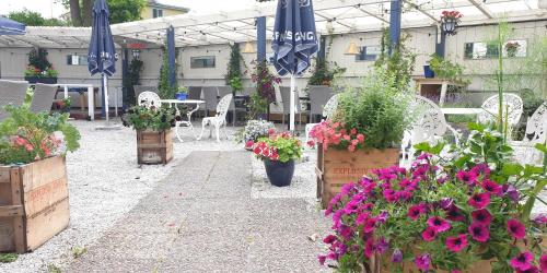 a garden with a bunch of plants and flowers at Slite Badhotell in Slite