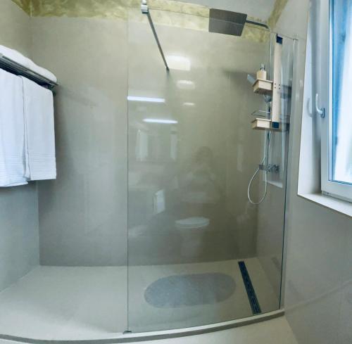 a glass shower in a bathroom with a toilet at Golden Apartament in Şelimbăr