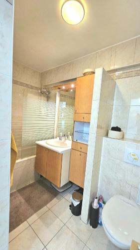 une salle de bain avec un lavabo et des toilettes dans l'établissement Studio tout confort gare de Lyon - possibilité parking, à Paris