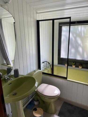 La salle de bains est pourvue d'un lavabo vert et de toilettes. dans l'établissement Le petit gîte, à Vresse-sur-Semois