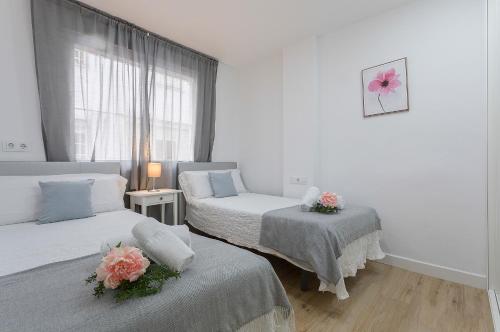 Centro Virgen Guia 3 Rooms