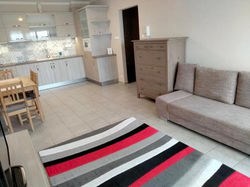 ein Wohnzimmer mit einem Sofa und einer Küche in der Unterkunft Wildflower Apartment in Balatonfüred