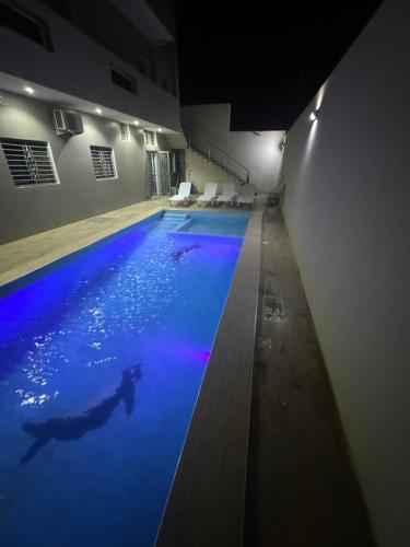 a dog swimming in a swimming pool at night at Résidences Salsia - Toubab Dialaw - Appt RDC in Rufisque