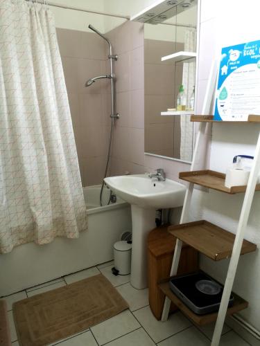 une salle de bain avec un lavabo et une douche dans l'établissement Eco-Gîte de L'Etang Présent, à Hornaing