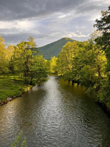 a river with trees on the side of it at Holiday House Provance in Brod na Kupi