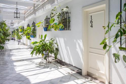 um corredor com vasos de plantas e uma porta branca em Catalonia Hispalis em Sevilha