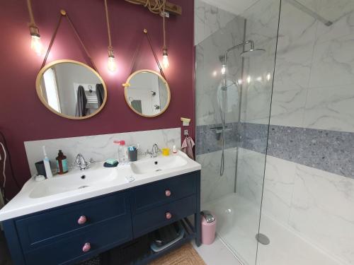 une salle de bain avec un lavabo et une douche dans l'établissement 7 min du circuit des 24 h du Mans et 10 min de la Gare - LA BERTINIERE, au Mans