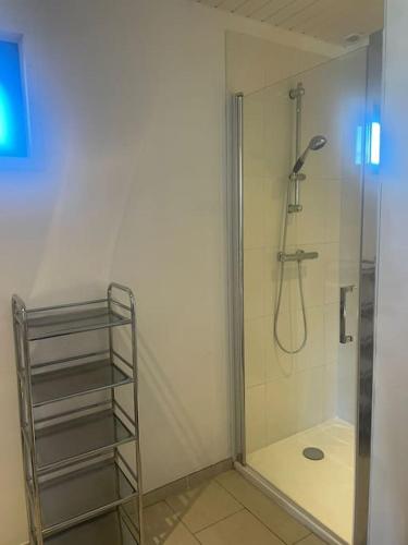 une douche avec une porte vitrée dans une salle de bain dans l'établissement Chalet - Cottage de Lesconil, à Plobannalec-Lesconil