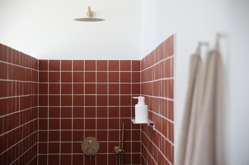 une salle de bain carrelée rouge avec une douche et un distributeur de savon dans l'établissement Lomalia, à Parmain