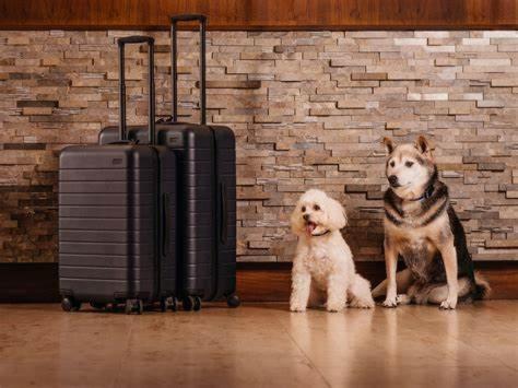 two dogs sitting next to a brick wall with luggage at Hotell Fyrislund in Uppsala