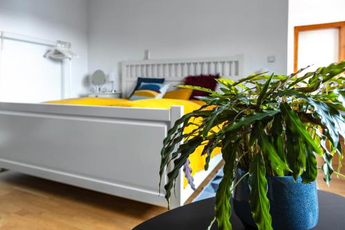 a bedroom with a white bed and a potted plant at Ferienwohnung KARKER 2 in Radolfzell am Bodensee
