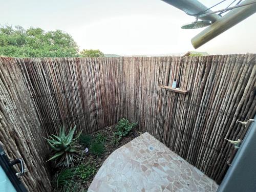 a backyard with a wooden fence and some plants at Charihandra Game Lodge in Addo