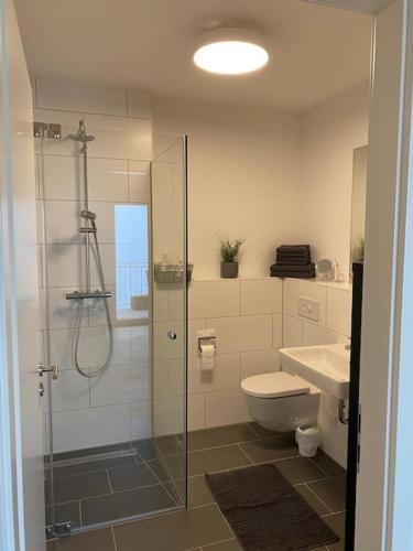 W łazience znajduje się prysznic, toaleta i umywalka. w obiekcie Luxus Appartment in Toplage w Hanowerze