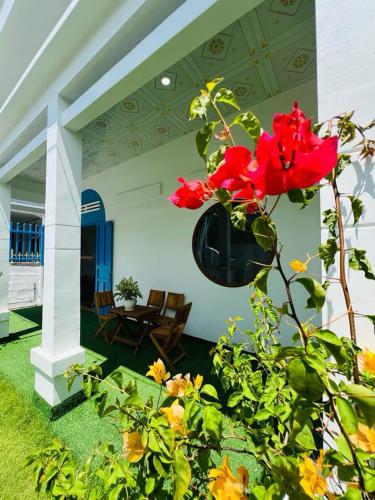 a plant with red flowers in front of a house at Homestay Phúc Lộc Phú Quý in Cu Lao Thu