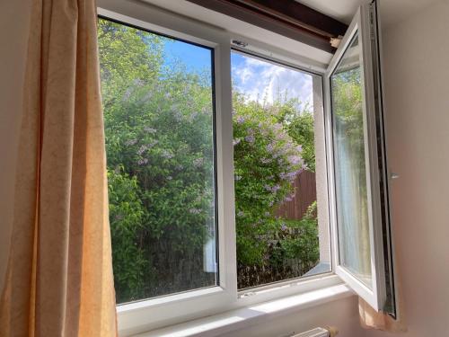 a window with a view of a garden at Hobití doupě in Stražisko