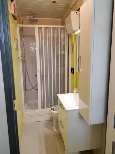 une petite salle de bain avec douche et toilettes dans l'établissement maison 4 à 6 personnes proche village, à Pélissanne