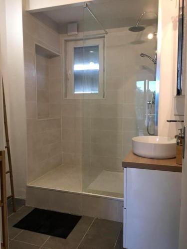 une salle de bain avec douche et lavabo dans l'établissement Superbe T4 ensoleillé avec balcon à Avignon, à Avignon