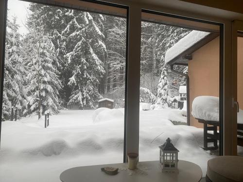 a window with a view of a snow covered yard at Alba Apartmany Železná Ruda in Železná Ruda