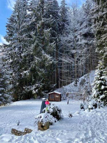 a snow covered yard with a cabin in the woods at Alba Apartmany Železná Ruda in Železná Ruda