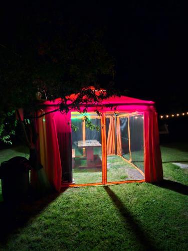 a small red tent in the grass at night at Camping Casuta Mihaela in Crisan