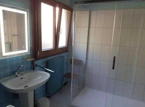 een badkamer met een wastafel en een douche bij Gîte les bouleaux 14 personnes Ventron in Ventron
