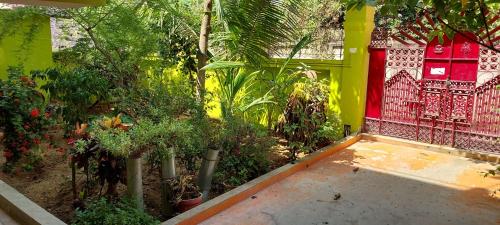 a garden with trees and plants and a yellow wall at Anand Bhavan in Deoghar