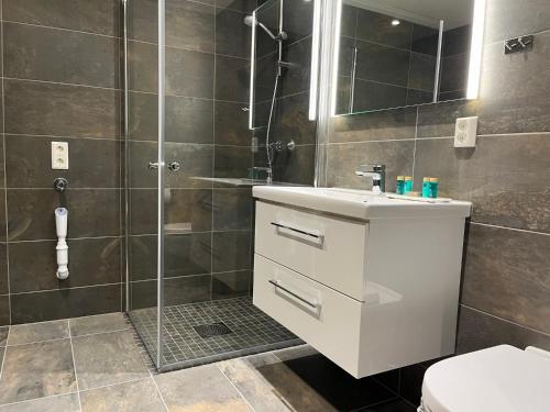 a bathroom with a shower and a sink and a toilet at Trysil Alpine Lodge in Trysil